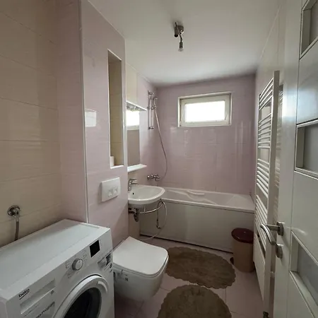 Kamelia * Saraybosna