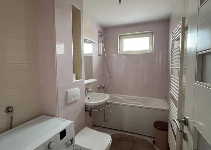 Kamelia * סראייבו