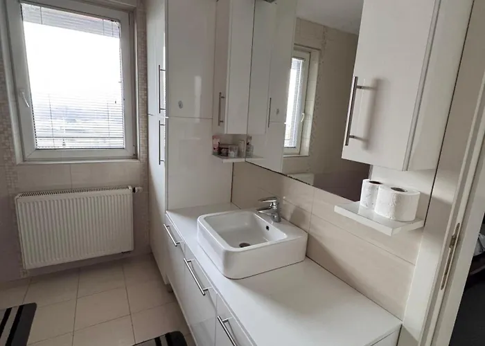 Kamelia * סראייבו